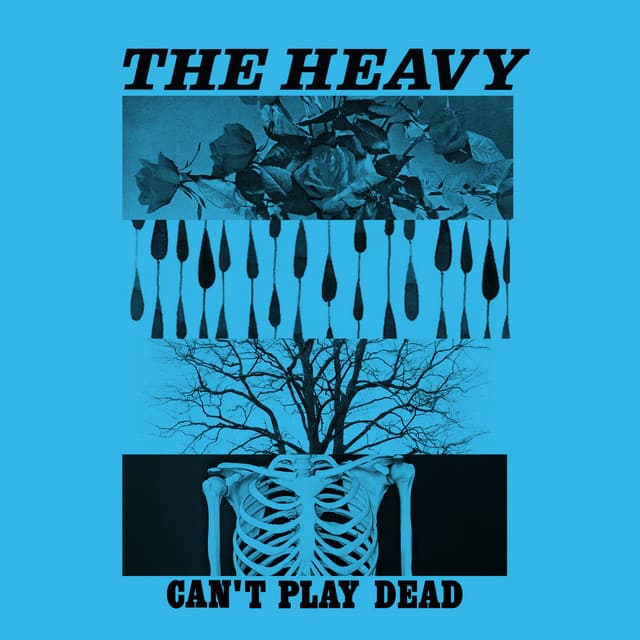 Can't Play Dead cover art