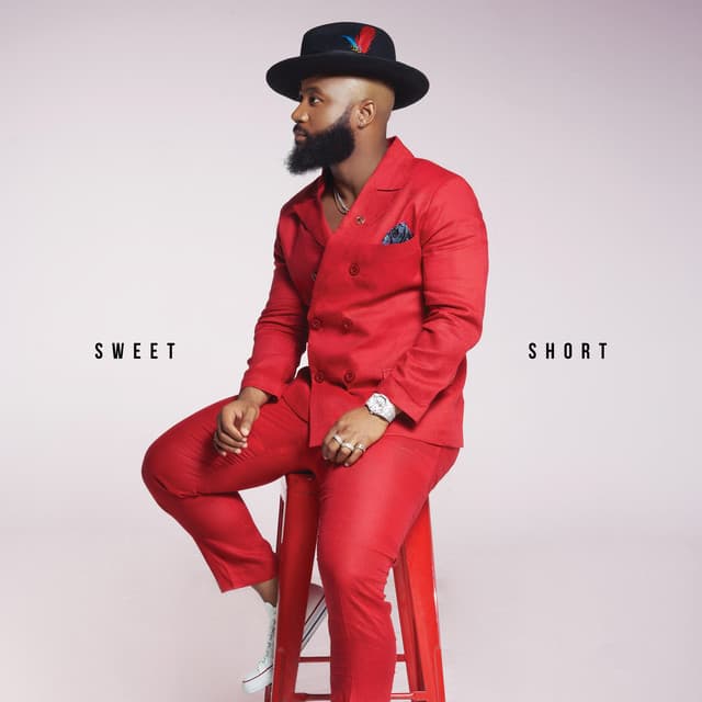 Remote Control cover art