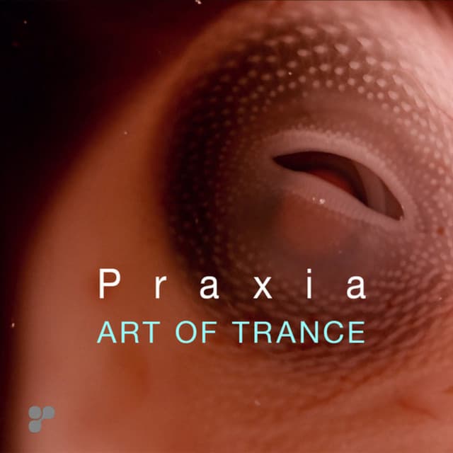 Praxia - Manu Riga Remix cover art