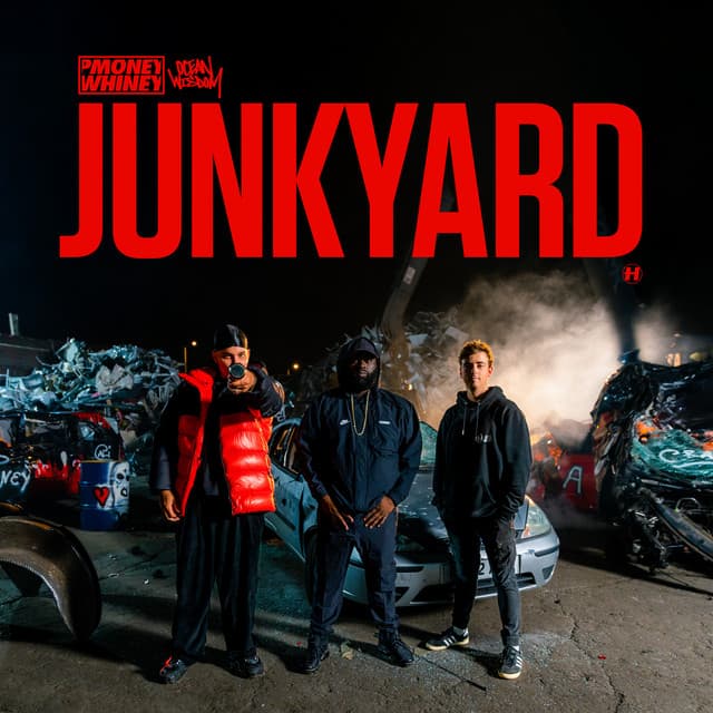 Junkyard cover art