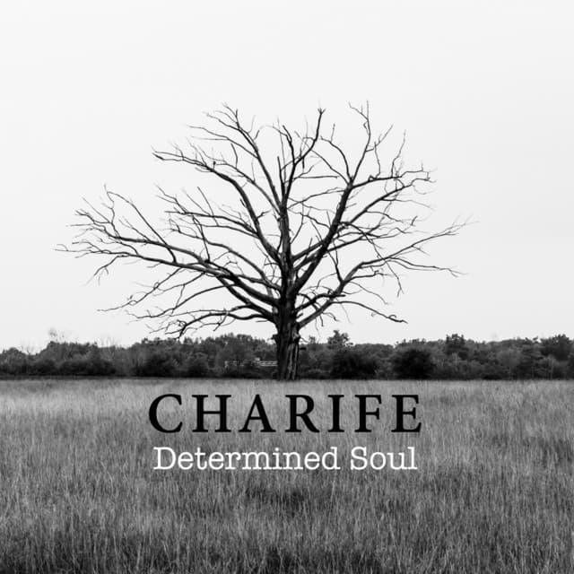 Determined Soul cover art