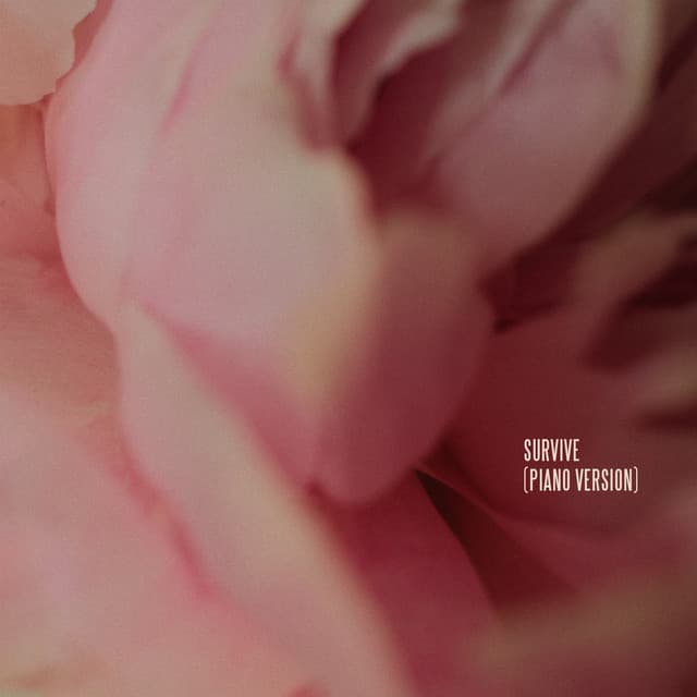 Survive - Piano Version cover art