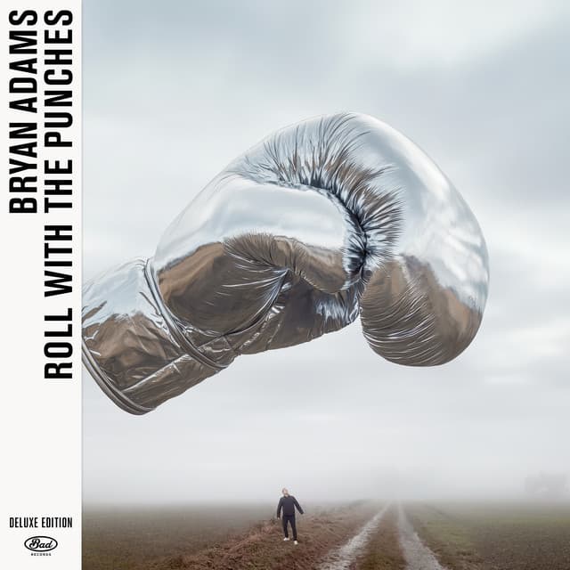 Roll With The Punches (Deluxe Edition) cover art