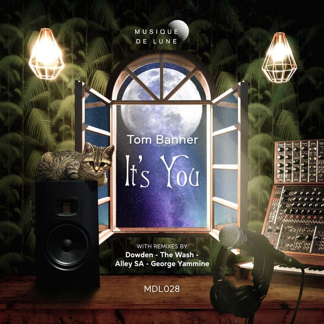 It's You - Alley SA Remix cover art