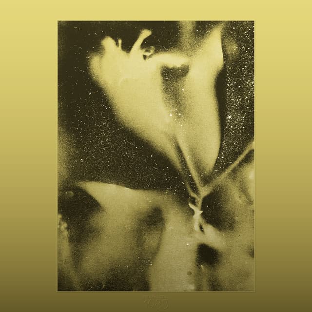 Unexpected Delight cover art