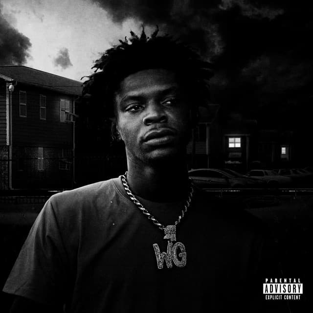 Money Junkie cover art