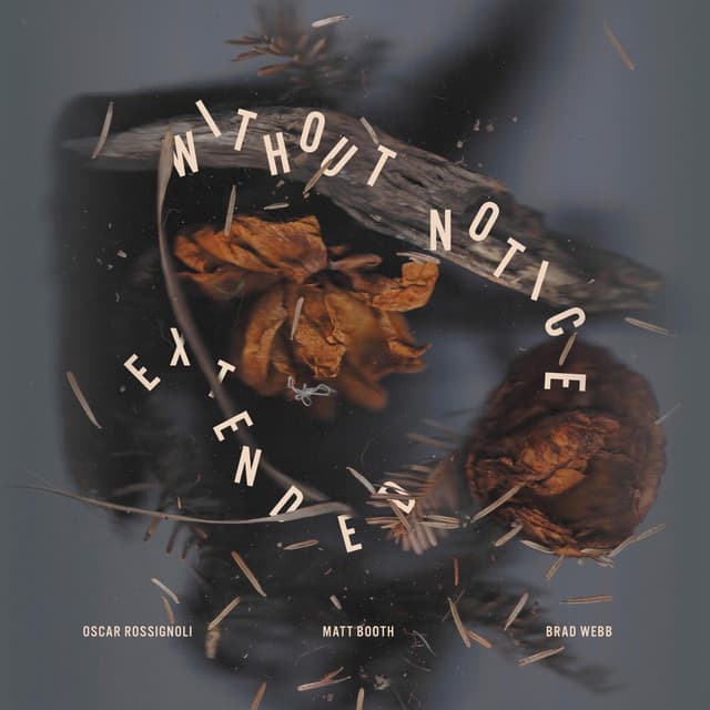 Without Notice cover art