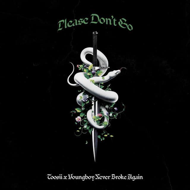 Please Don’t Go (feat. YoungBoy Never Broke Again) cover art