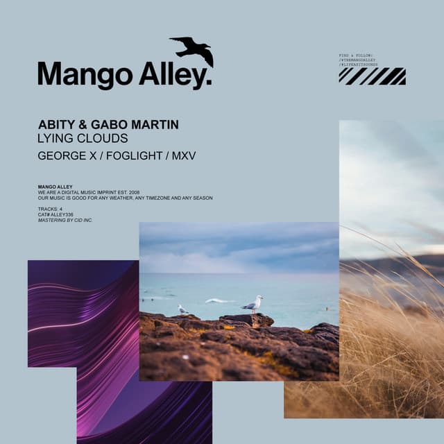 Lying Clouds - foglight Remix cover art
