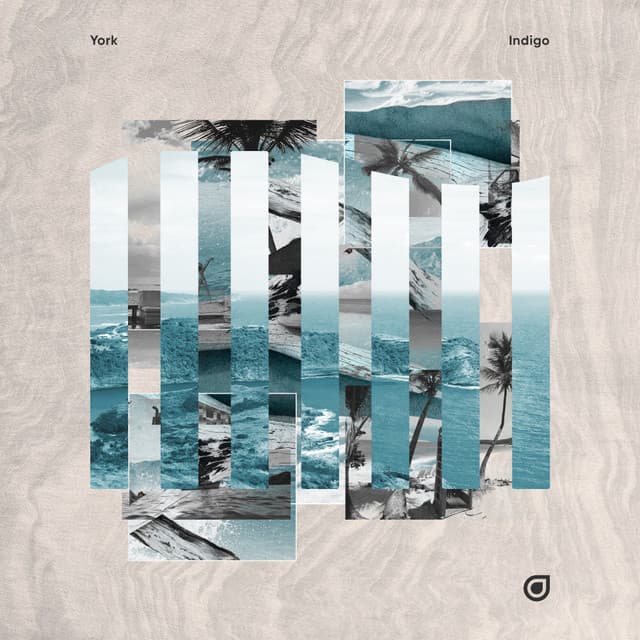 Indigo cover art