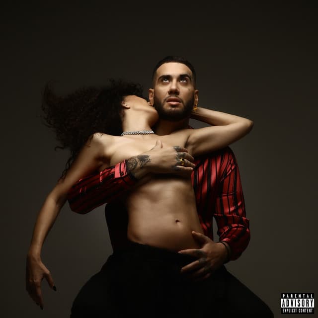Pote cover art