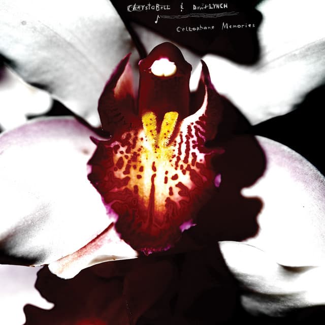The Answers to The Questions cover art