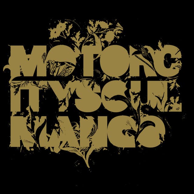 Mango cover art