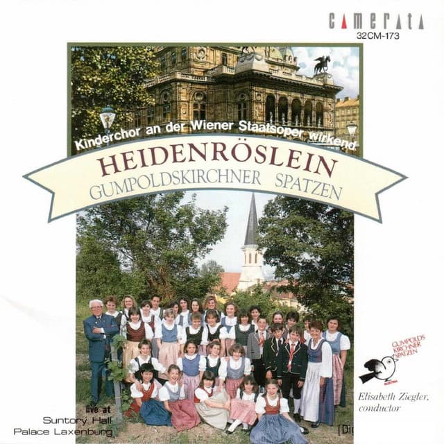 Der Fremdenführer: O Wien, mein liebes Wien cover art