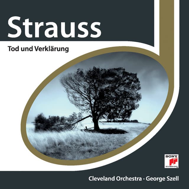 Salome, Op. 54, TrV 215: Dance of the Seven Veils cover art