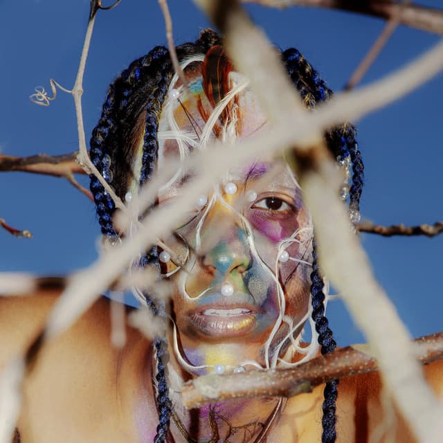 Agwe - Dasychira 'Meteor Shower Mix' cover art