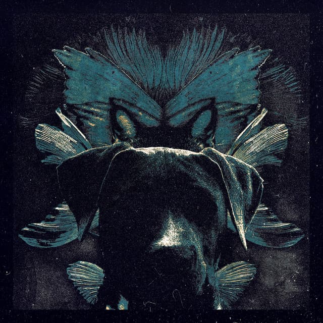 Petit Pets cover art