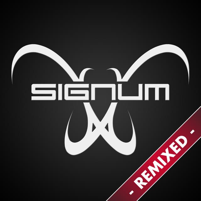 Syndicate - Abstract Vision & Elite Electronic Remix cover art