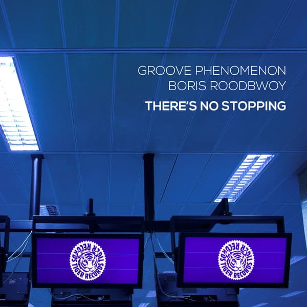 There's No Stoping - Dave Kurtis Remix cover art