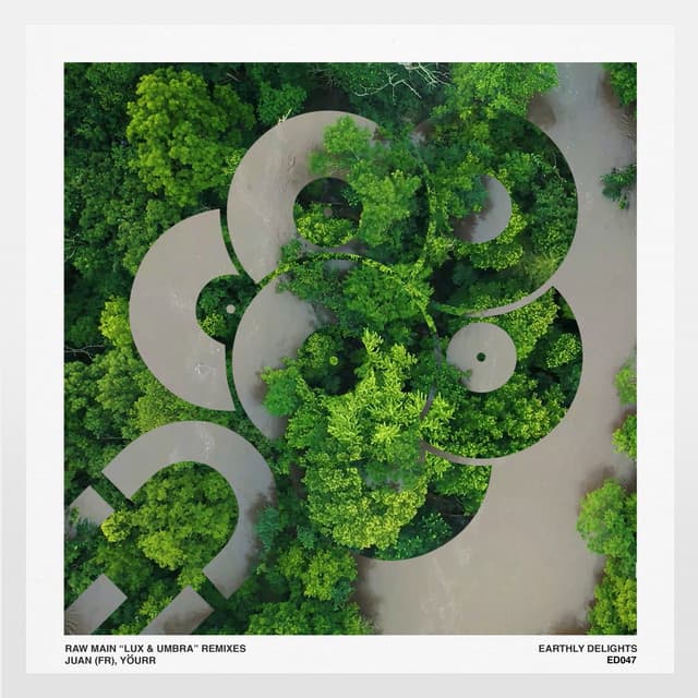 Voices in My Head - Juan (FR) Remix cover art