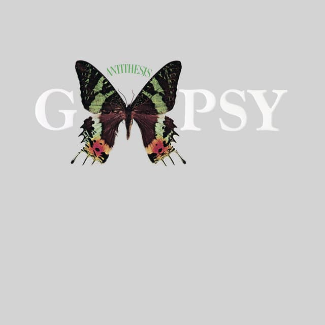 So Many Promises cover art