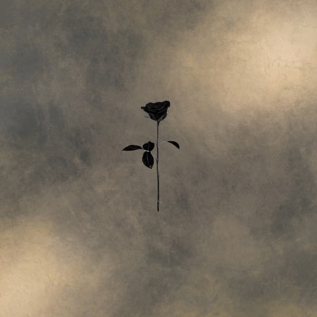 Narattivo cover art