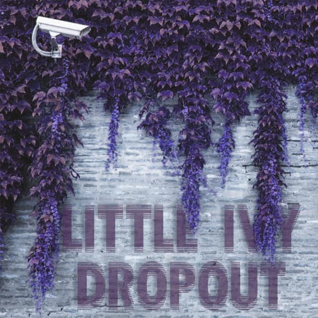 Little Ivy Dropout cover art