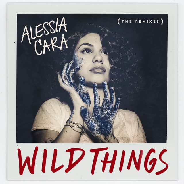 Wild Things - MK Remix cover art
