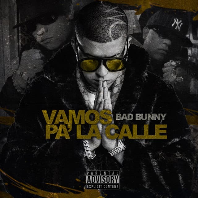 Vamos Pa' la Calle cover art
