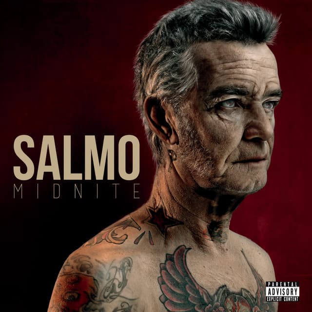 The Island cover art