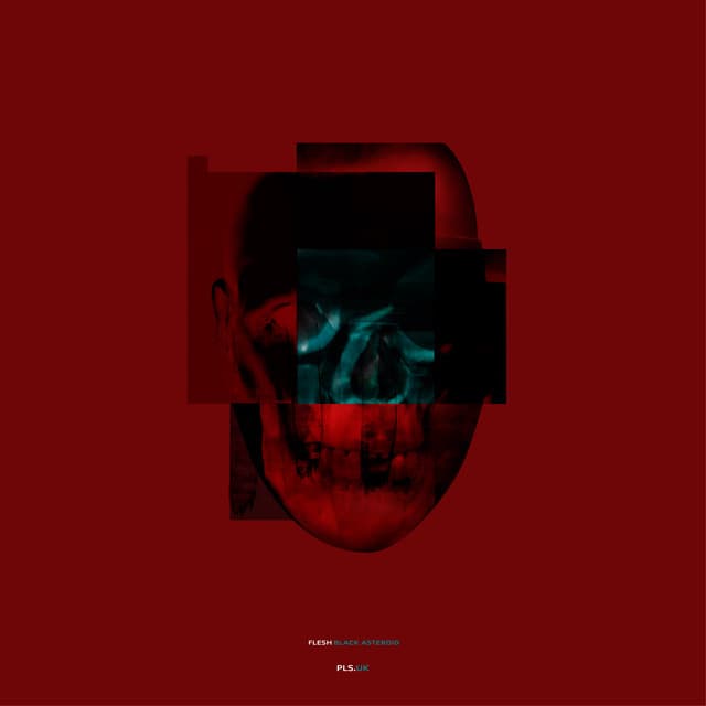 New Flesh cover art
