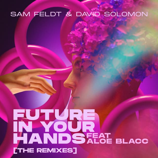 Future In Your Hands (feat. Aloe Blacc) - Skytech Remix cover art