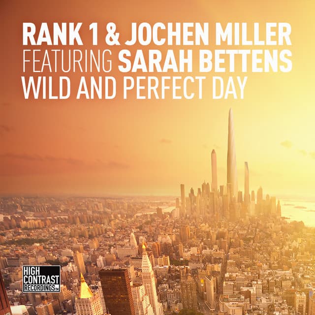 Wild and Perfect Day - Radio Mix cover art