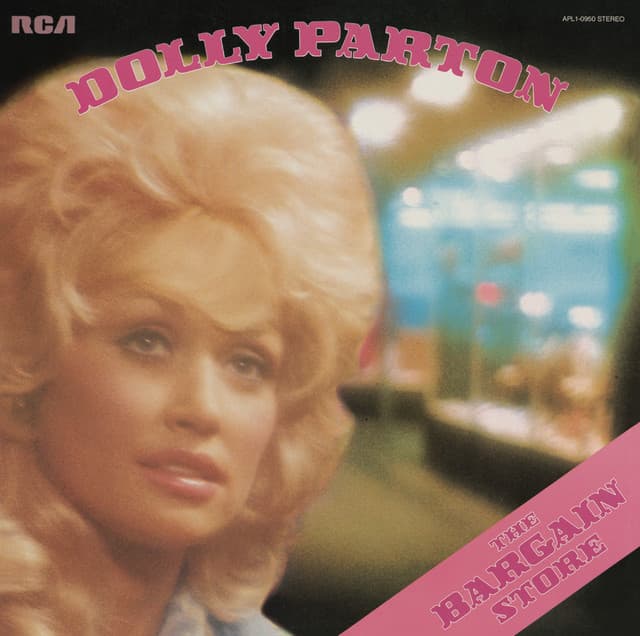 The Bargain Store cover art
