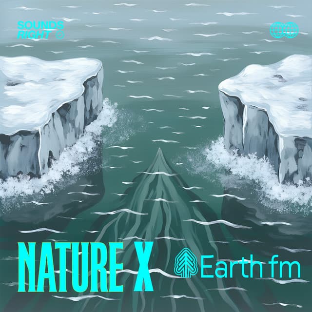 Ice and Water Symphony in the Pan-Arctic cover art