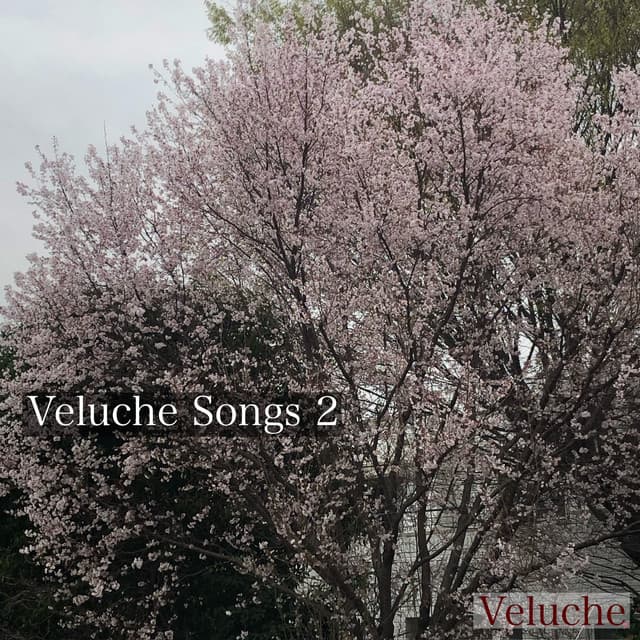 Veluche Songs2 cover art