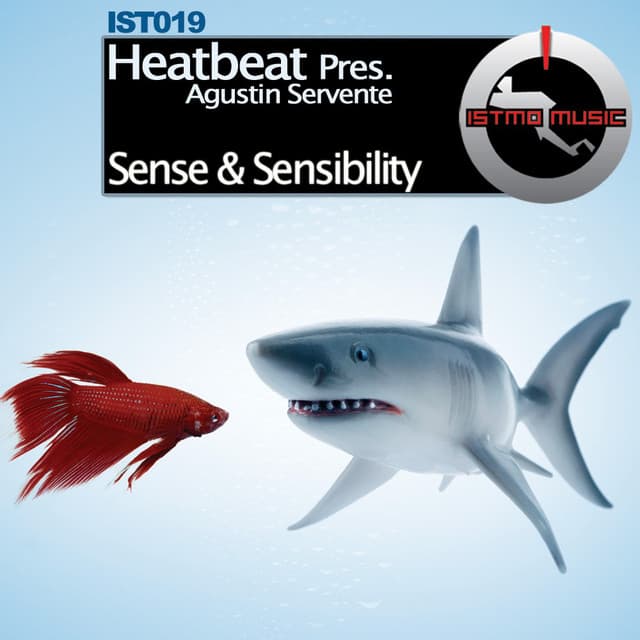 Sense & Sensibility - LD Remix cover art
