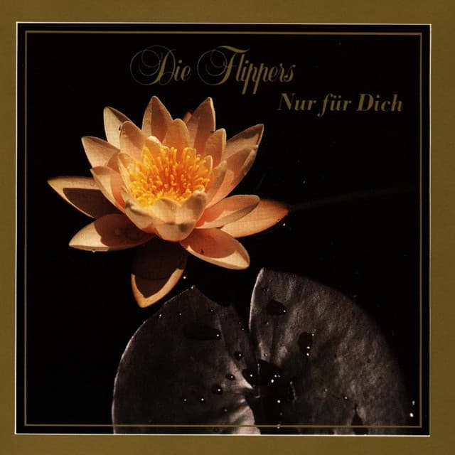 Nur für Dich cover art
