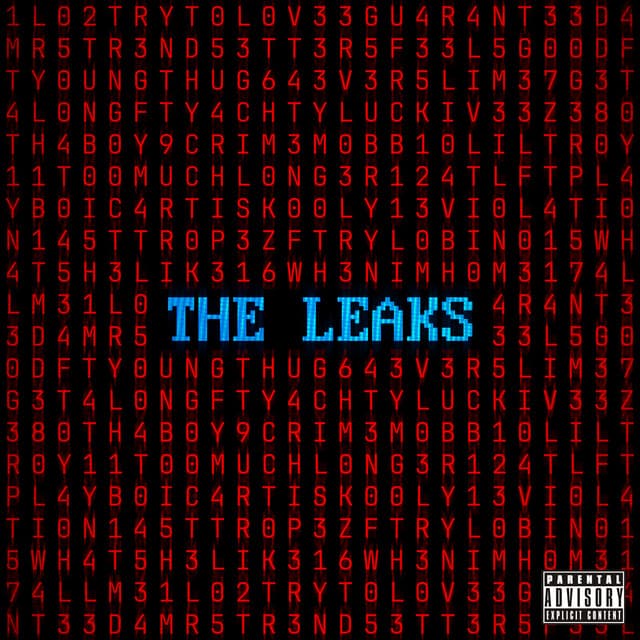The Leaks cover art