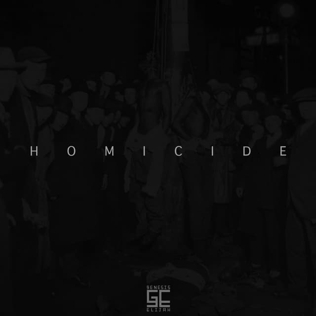 Homicide (Instrumental) cover art