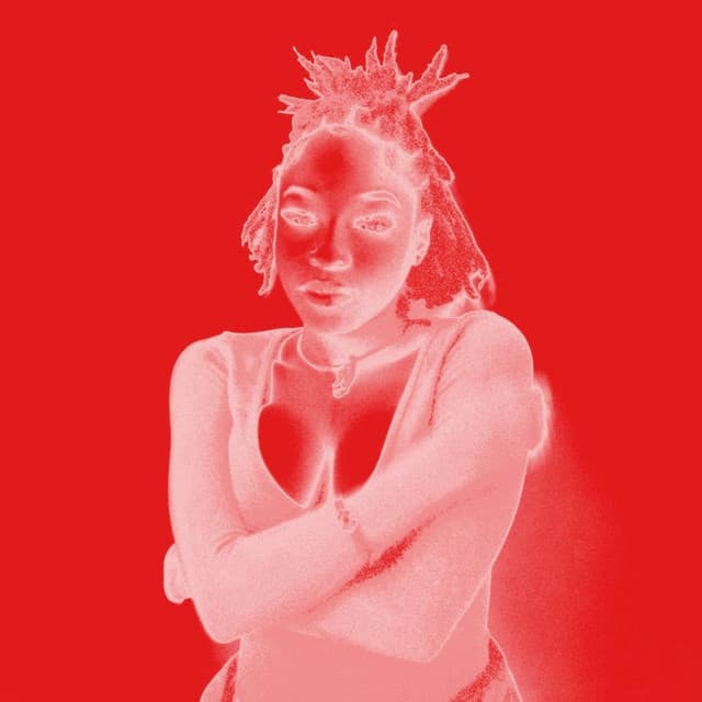 NEIGHBORHOOD CRASH DUMMY cover art