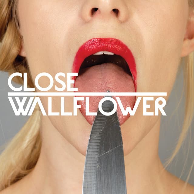 Wallflower feat. Fink cover art