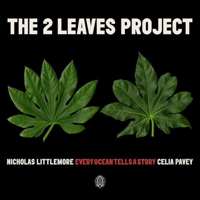 Para cover art