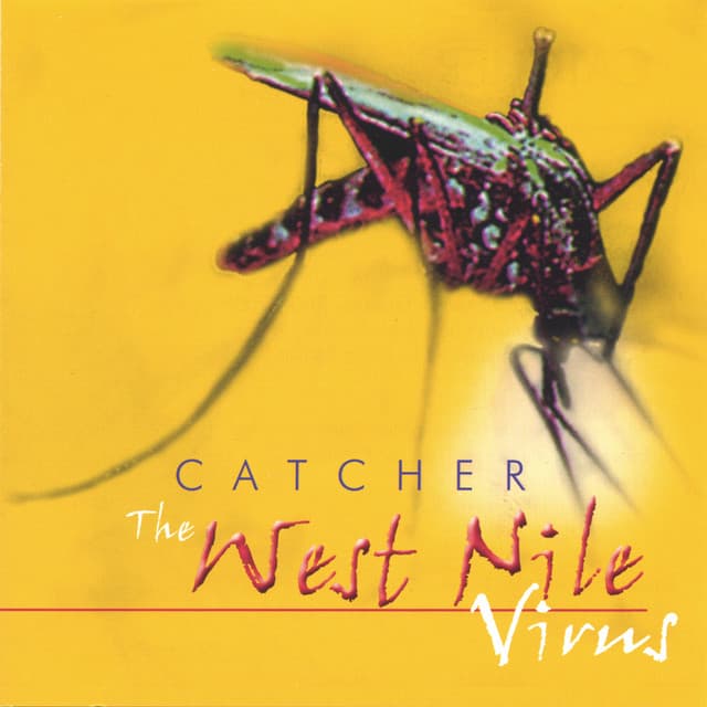 Summer cover art