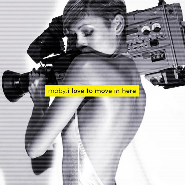 I Love to Move in Here (Popof Remix) cover art
