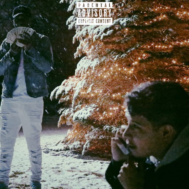 Zips cover art