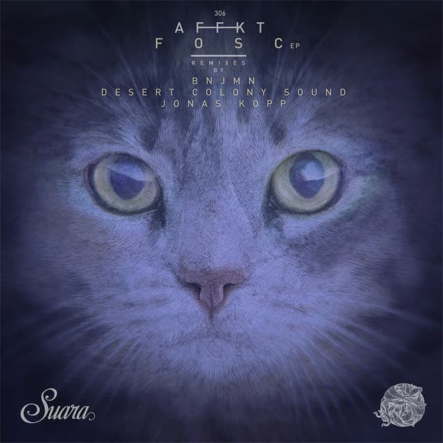 Laberinto - Desert Sound Colony Remix cover art