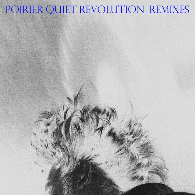 Agua Oro - El Búho Remix cover art
