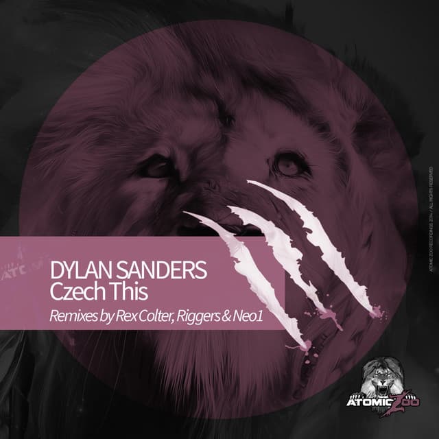 Czech This - Riggers Remix cover art