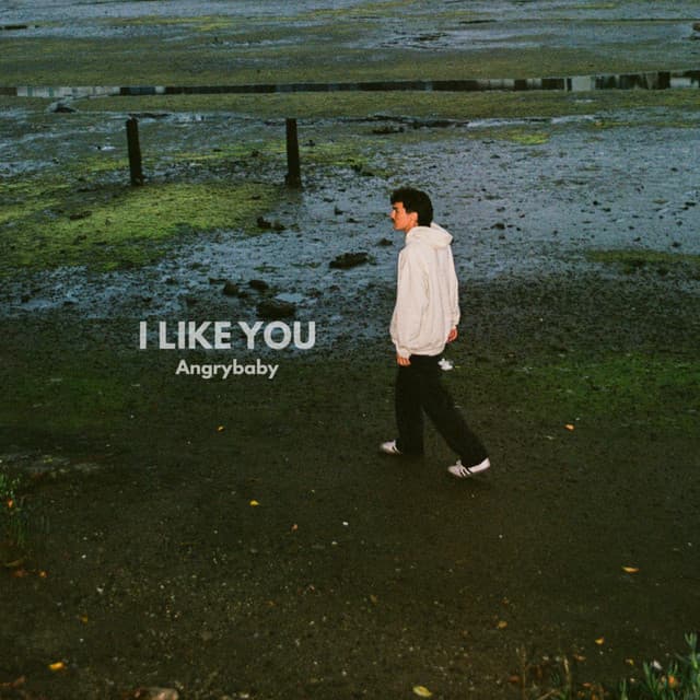 I LIKE YOU cover art